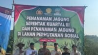 IMG 20250709 205702