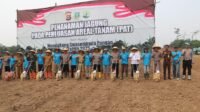 Program Ketahanan Pangan